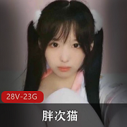 女神胖次猫双马尾少女袜子资源合集，23G视频大放送！